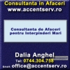Consultanta de Afaceri pentru Interprinderi Mari prin Accent Serv International