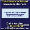 Servicii de Consultanta Management pentru Interprinderi Mici