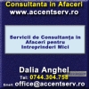 Servicii de Consultanta in Afaceri pentru Intreprinderi Mici