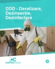 SOLUȚII PENTRU ELIMINAREA PLOȘNIȚELOR DE PAT – SERVICII DDD